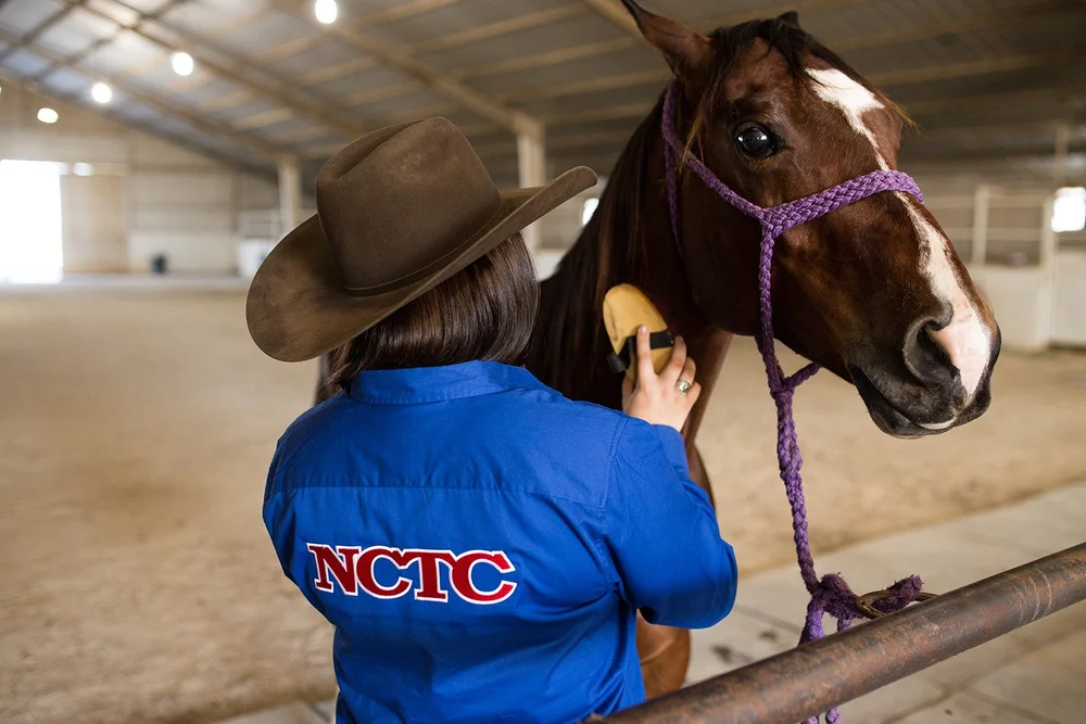 Equine Degree, Equine Science Program, horse training, jobs that work with horses, equine program